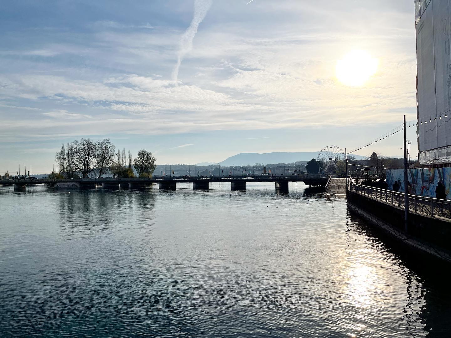 Le marché immobilier genevois en perspective: dynamiques et tendances actuelles